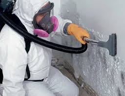 Best Crawl Space Mold Remediation  in USA